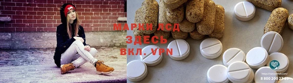 индика Долгопрудный