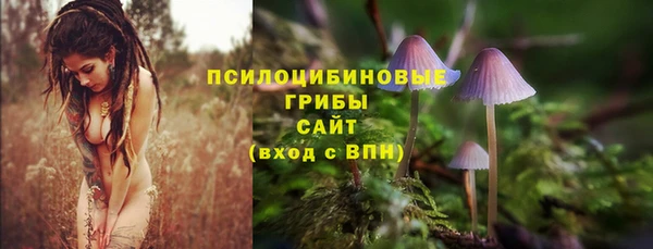 сатива Березники