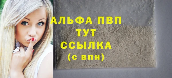 индика Долгопрудный