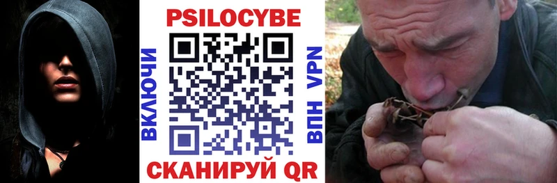 где купить   Усть-Илимск  Псилоцибиновые грибы MAGIC MUSHROOMS 