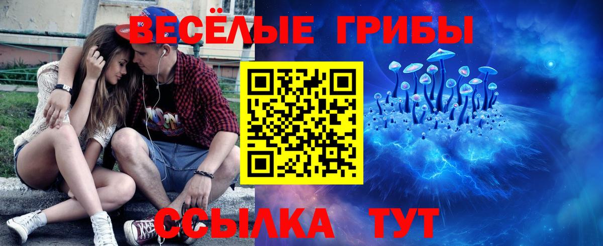 Псилоцибиновые грибы Psilocybe Усть-Илимск